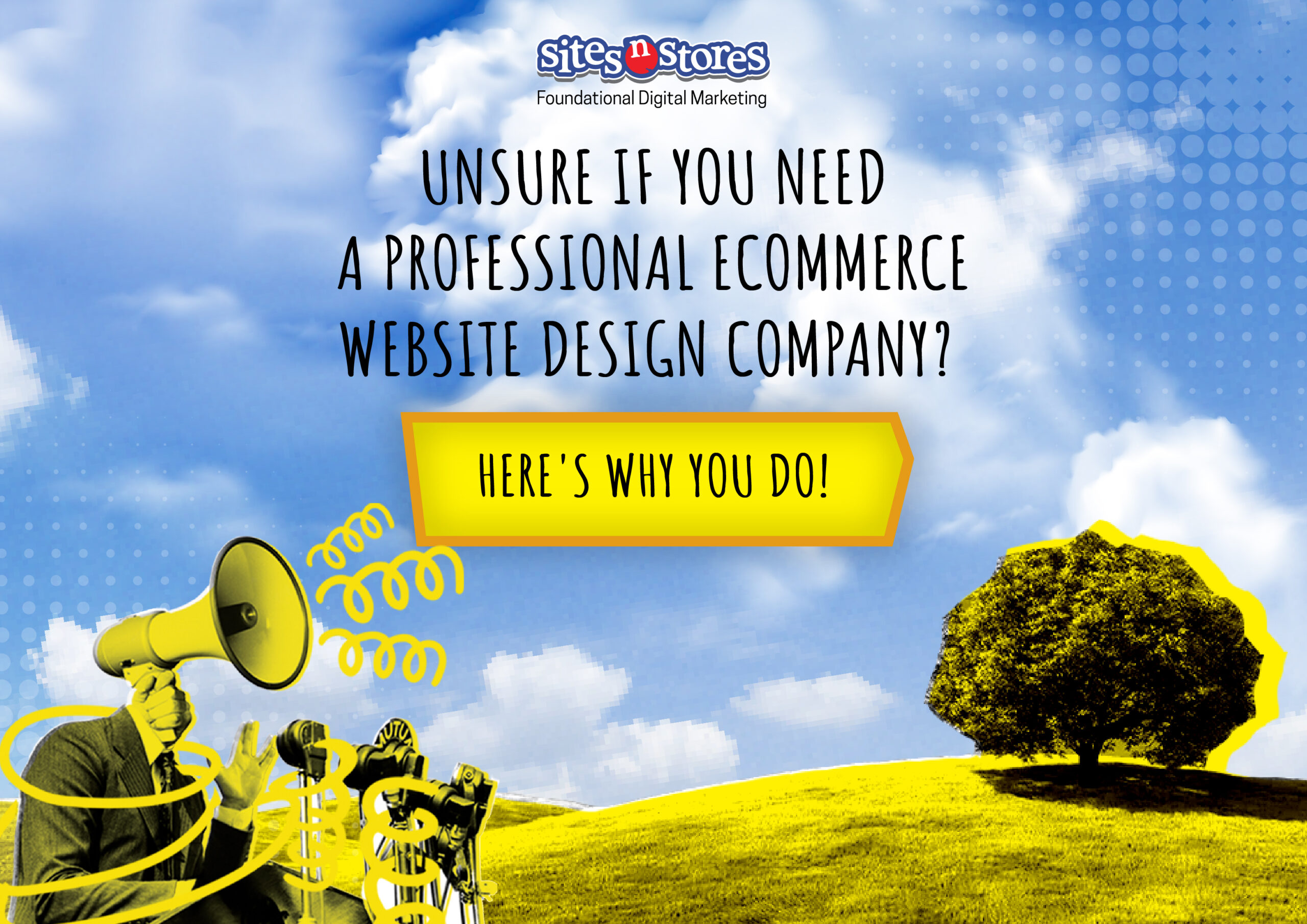 Unsure if You Need a Professional Ecommerce Website Design Company? Here’s Why You Do!