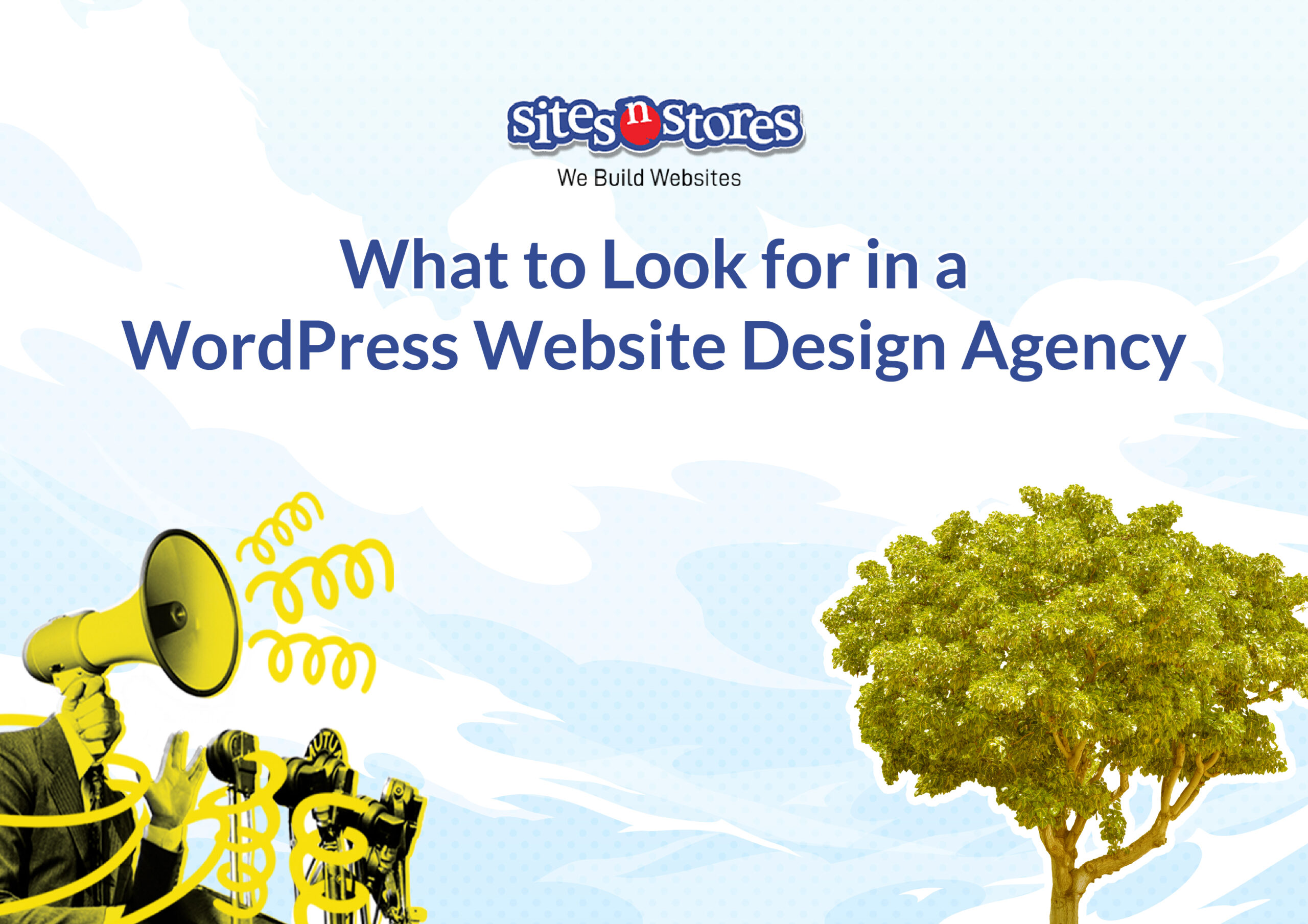 What to Look for in a WordPress Design Agency