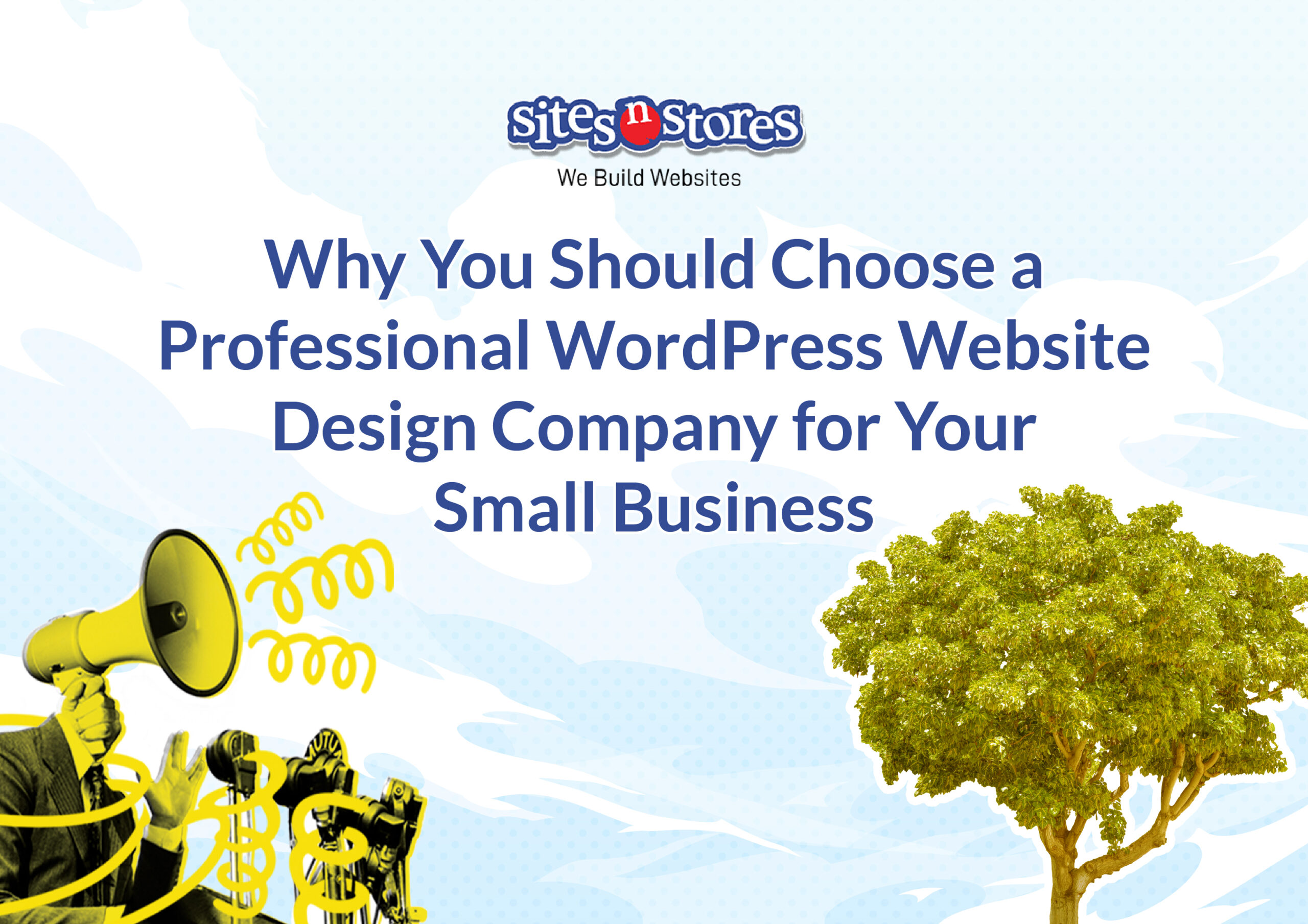 Why You Should Choose a Professional WordPress Website Design Company for Your Small Business