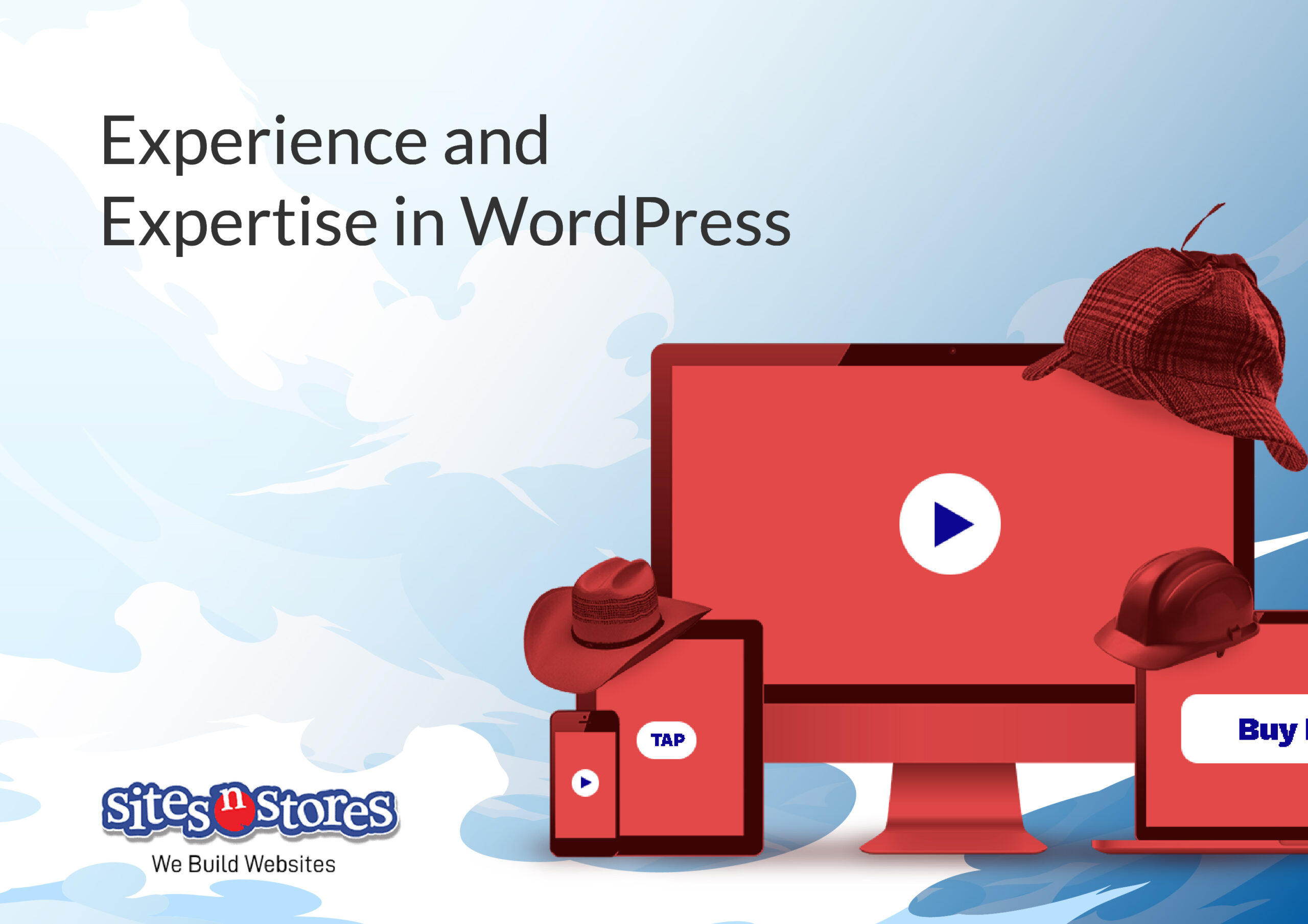 Experience and Expertise in WordPress Experience and Expertise in WordPress