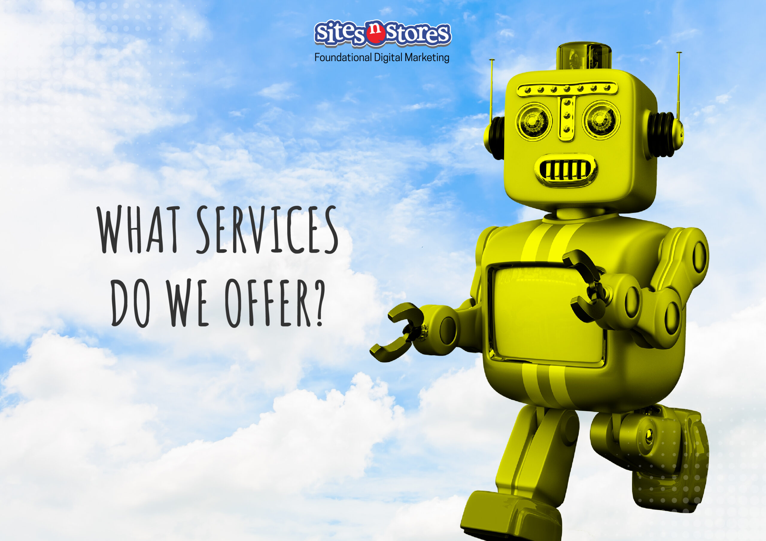 What Services do we Offer?