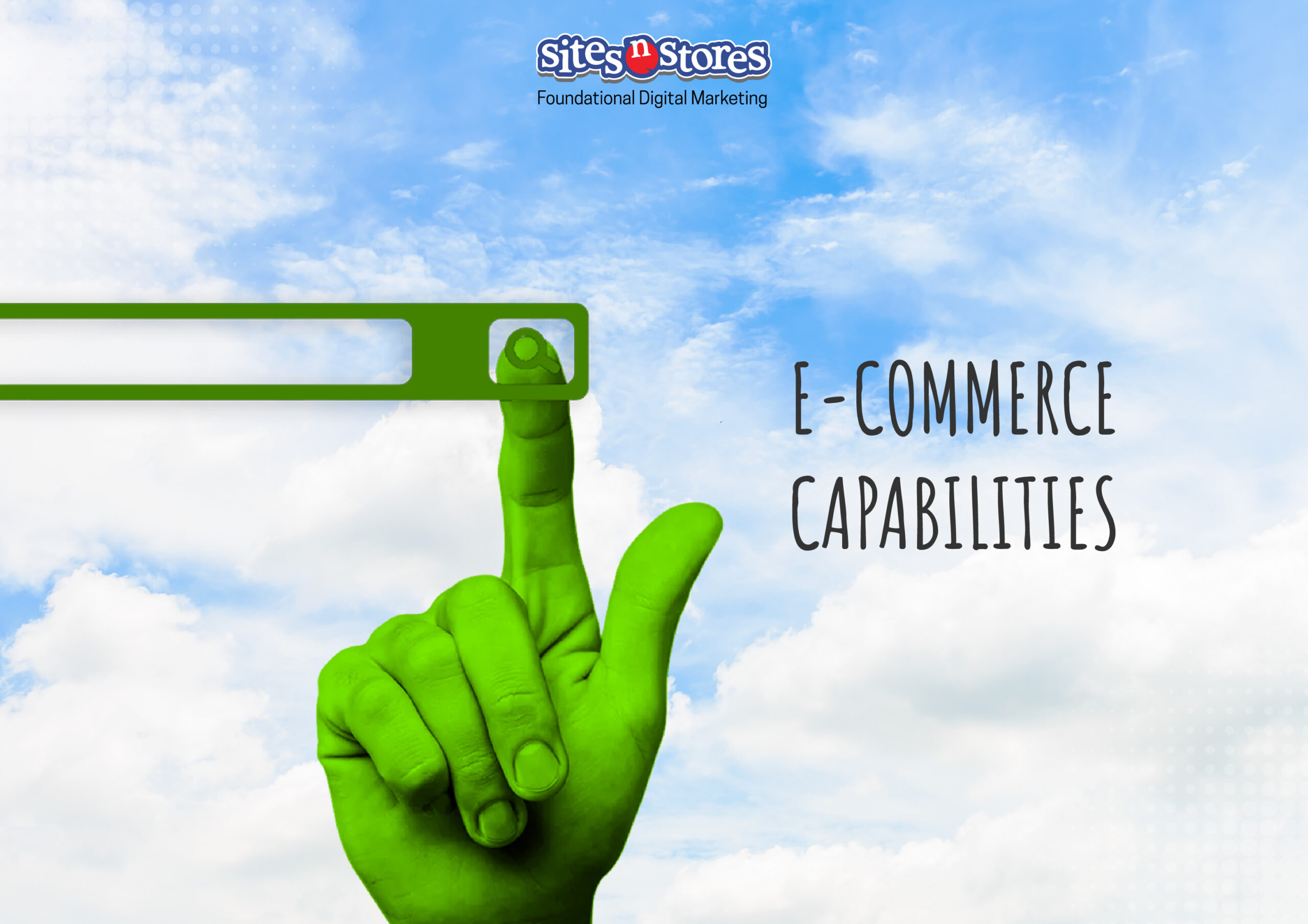 Ecommerce Capabilities Ecommerce Capabilities
