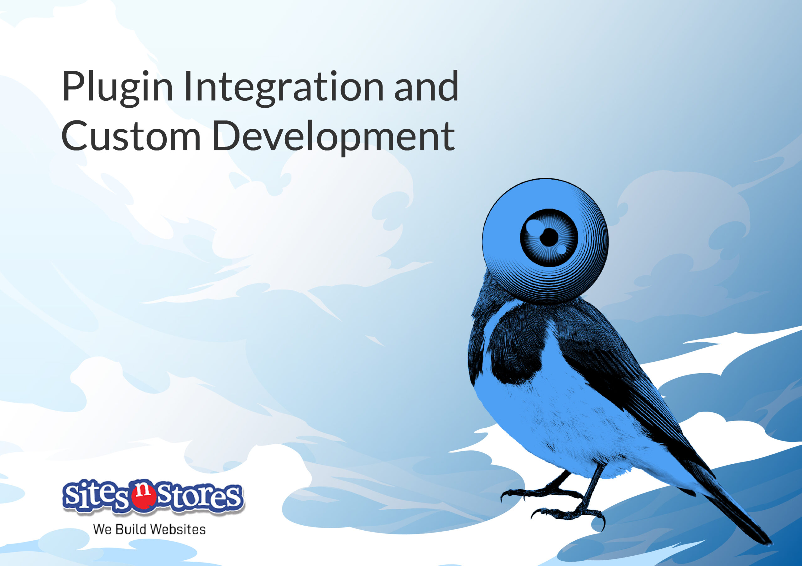 Plugin Integration and Custom Development Plugin Integration and Custom Development