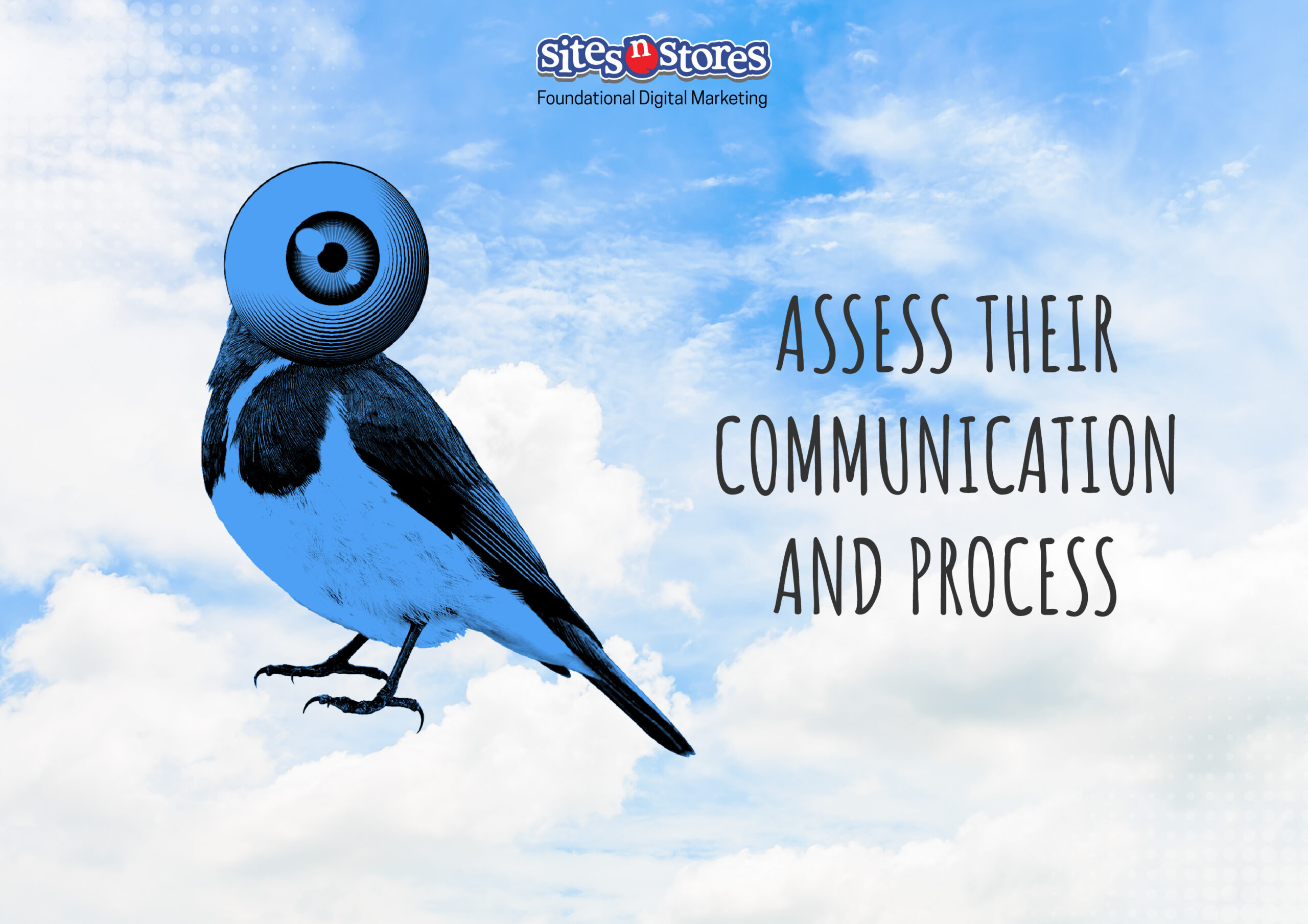 Assess Their Communication and Process Assess Their Communication and Process