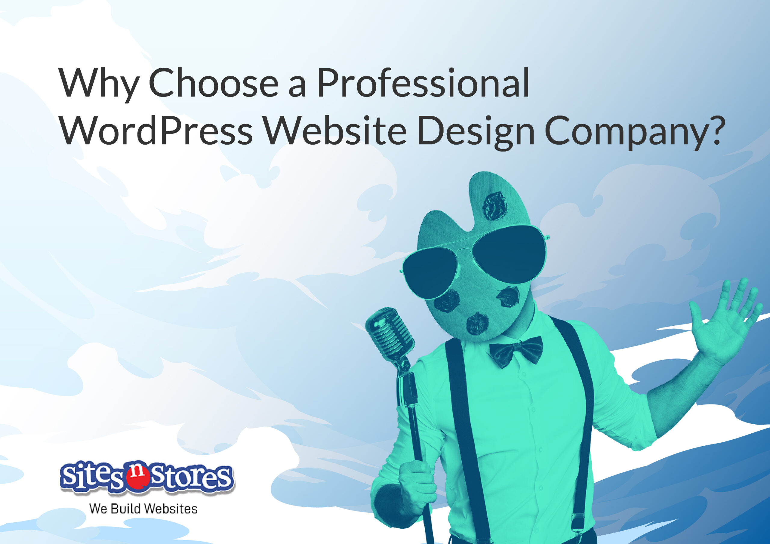 Why Choose a Professional WordPress Website Design Company? Why Choose a Professional WordPress Website Design Company?