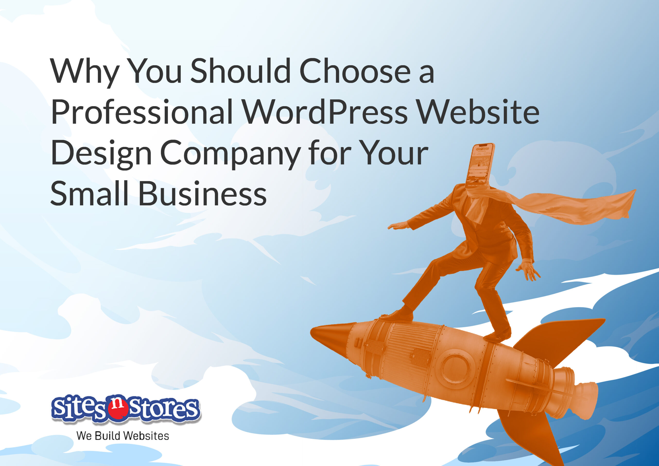 Why You Should Choose a Professional WordPress Website Design Company for Your Small Business Why You Should Choose a Professional WordPress Website Design Company for Your Small Business