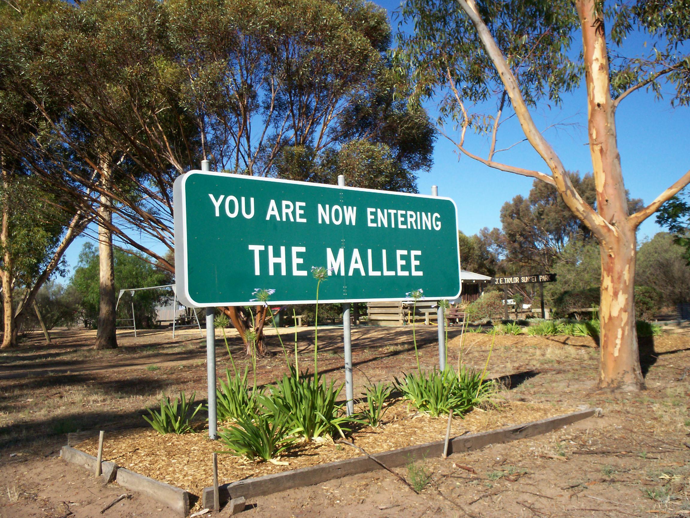 Web Design in The Mallee Web Design in The Mallee
