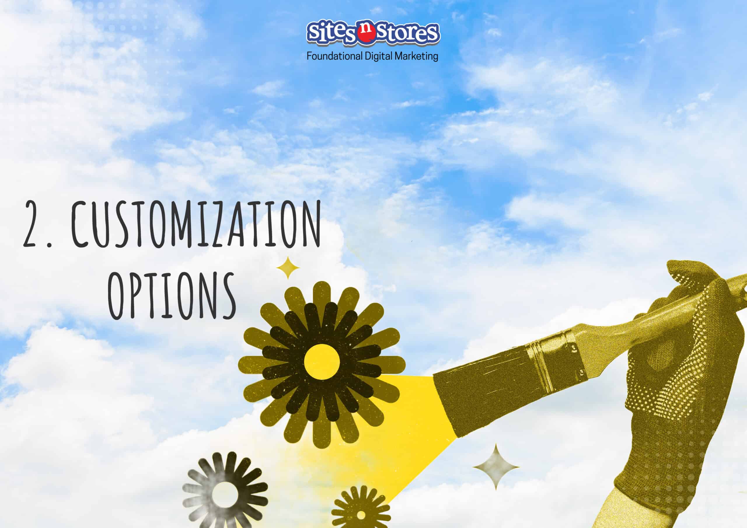 2. Customization Options