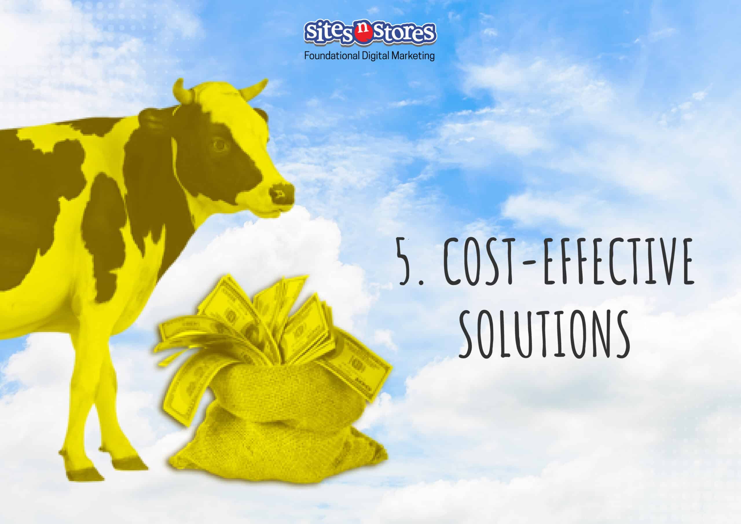 5. Cost-Effective Solutions