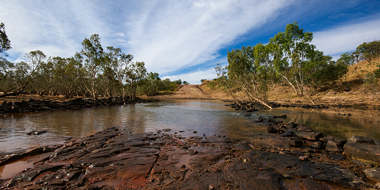 Web Design in Durack Web Design in Hindmarsh Island