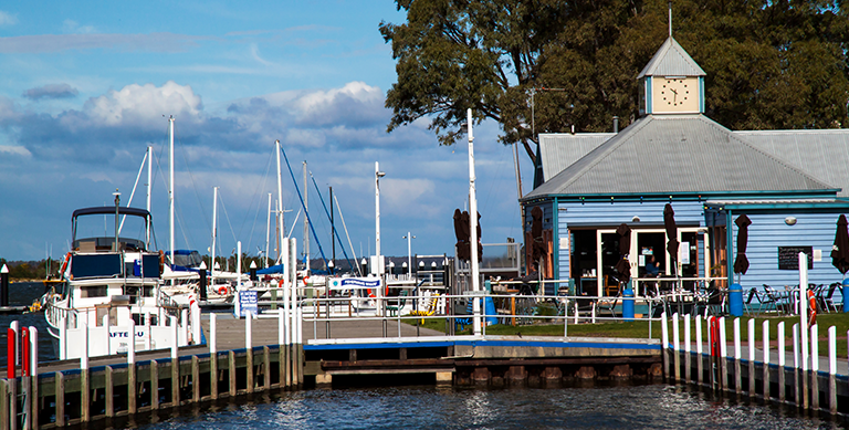 Web Design in Paynesville Web Design in Paynesville