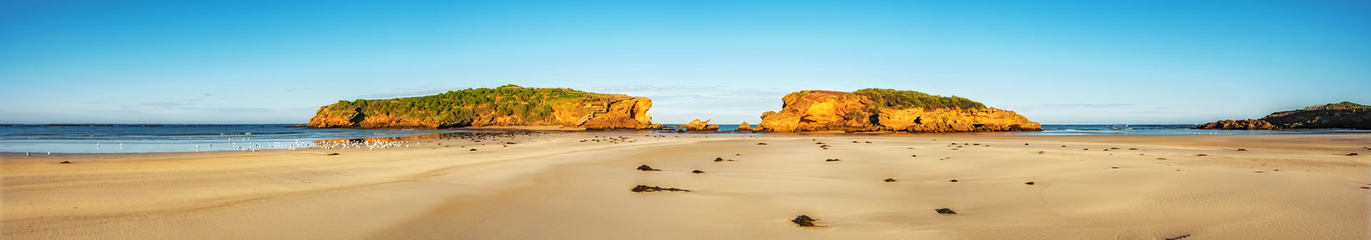 Website Design Warrnambool Company