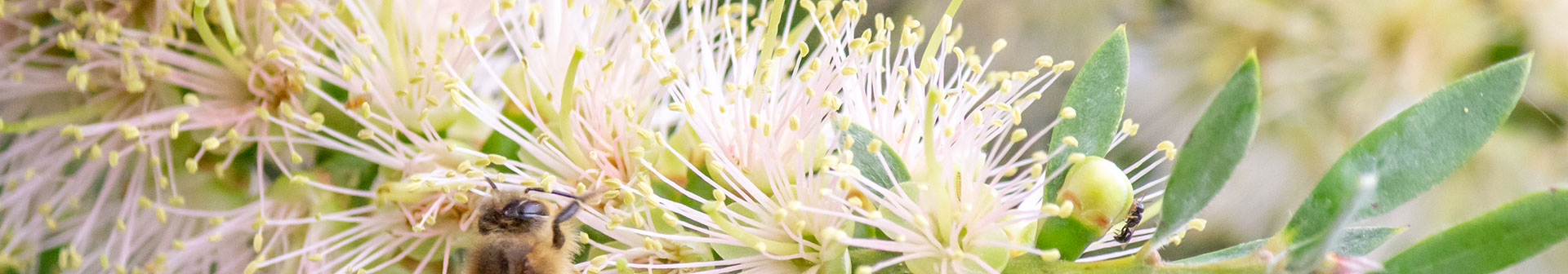 Website Designer Gisborne Company