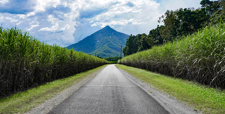 Website Designer Gordonvale Website Designer Gordonvale
