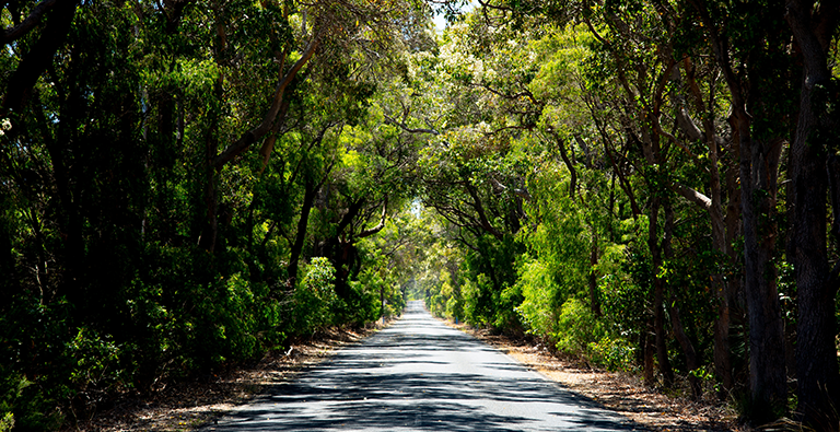 Ecommerce Web Design Margaret River | Custom Web Design Margaret River - Sites n Stores Ecommerce Web Design Margaret River | Custom Web Design Margaret River - Sites n Stores