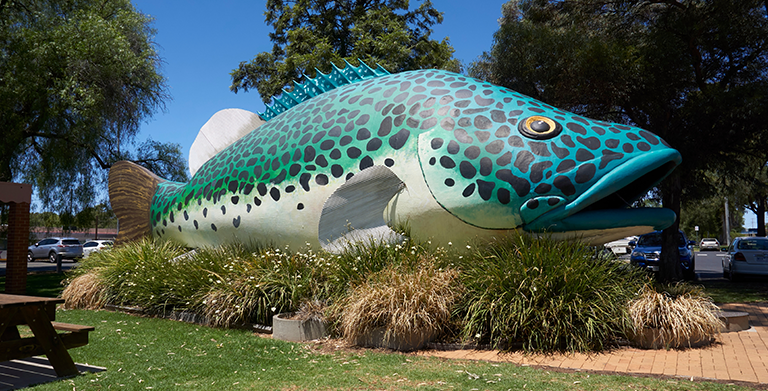 Website Designer Swan Hill Website Designer Swan Hill