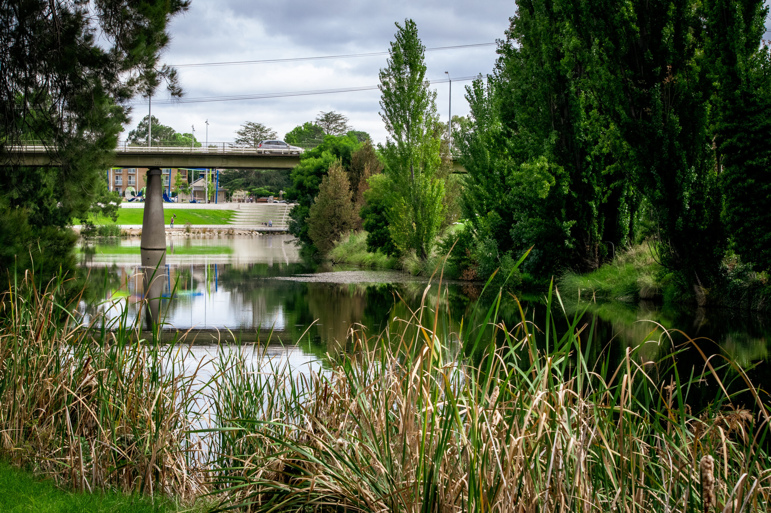 website design Queanbeyan website design Queanbeyan