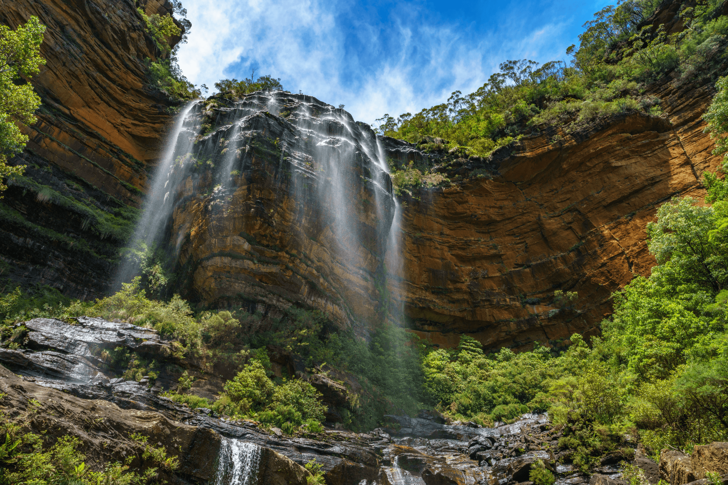website design Wentworth Falls website design Wentworth Falls