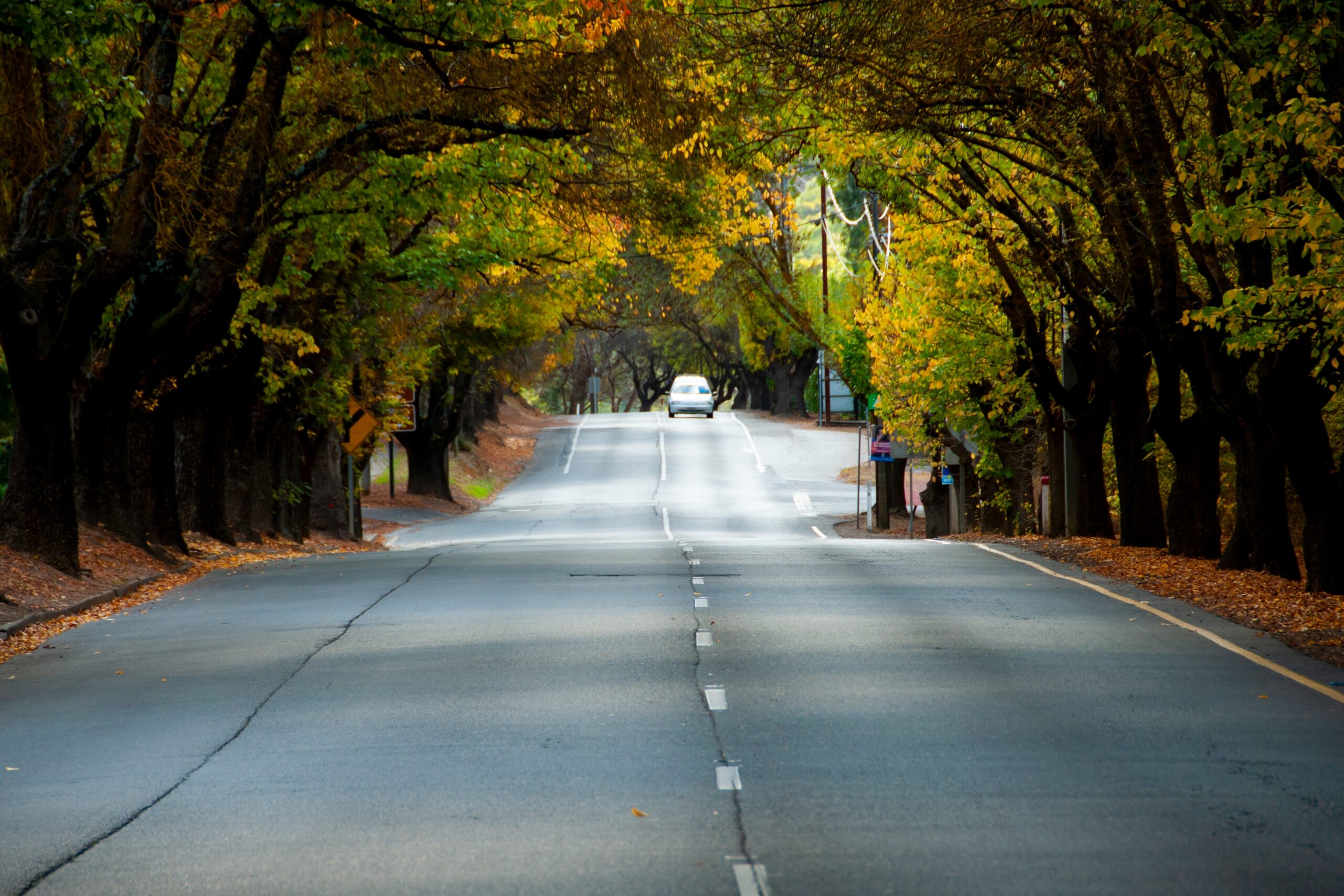 website design Mount Barker website design Mount Barker
