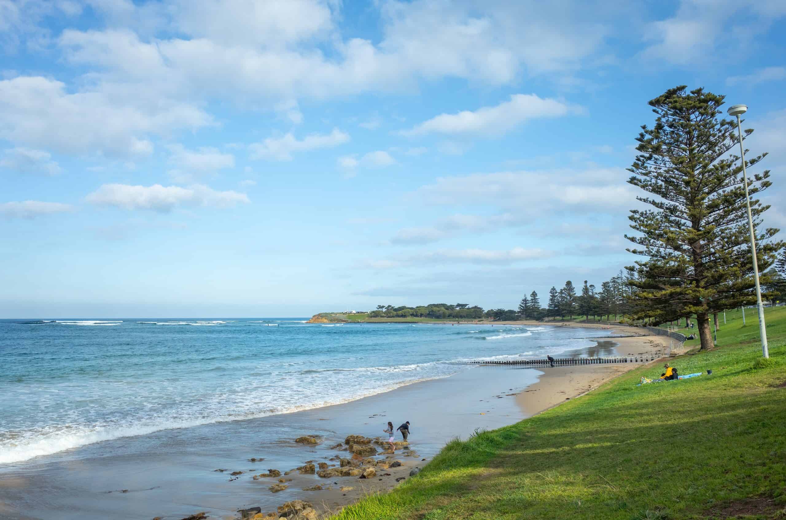website design Torquay website design Torquay
