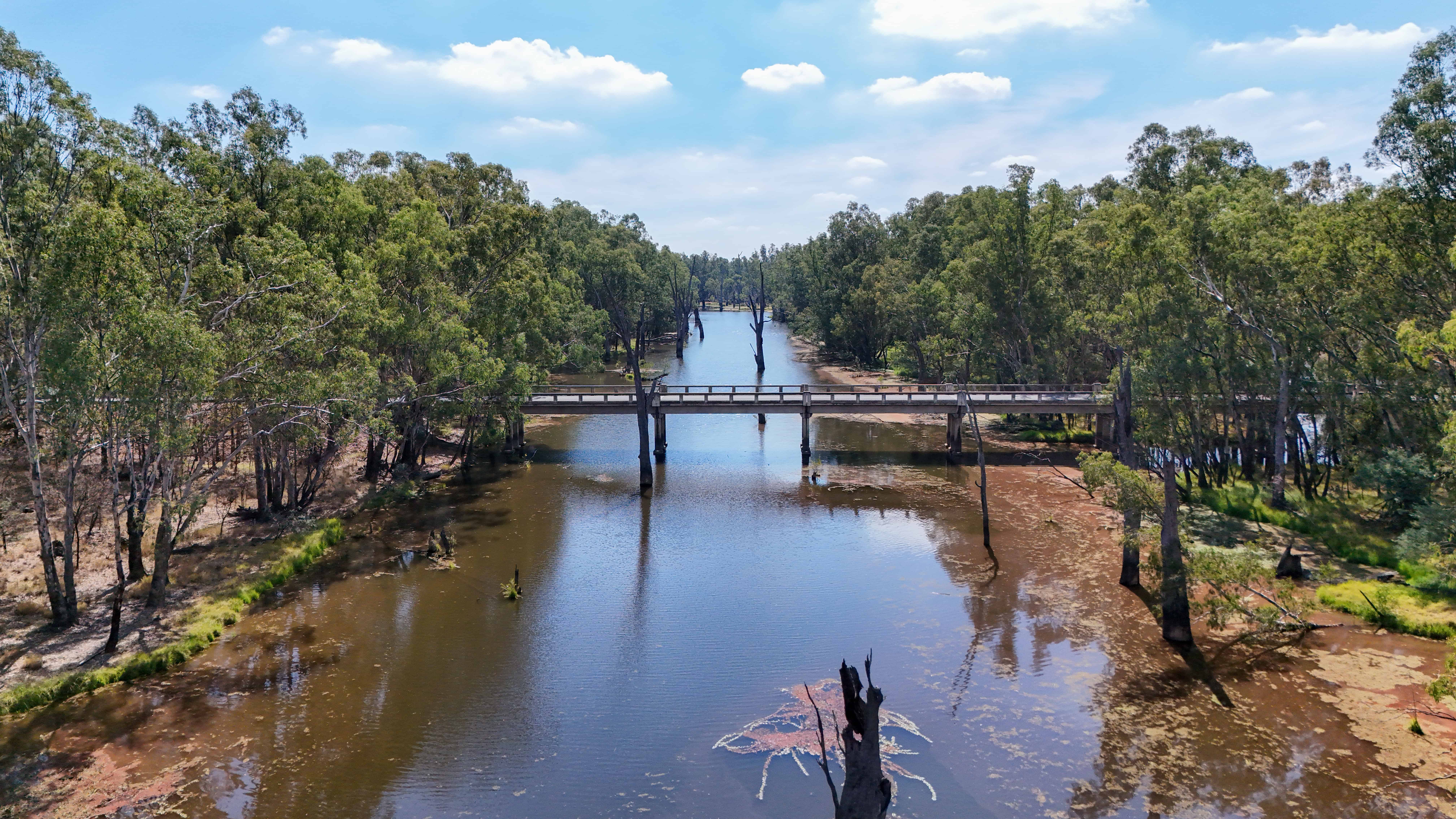website design Murray Plains bespoke website design tailored for Murray Plains small businesses