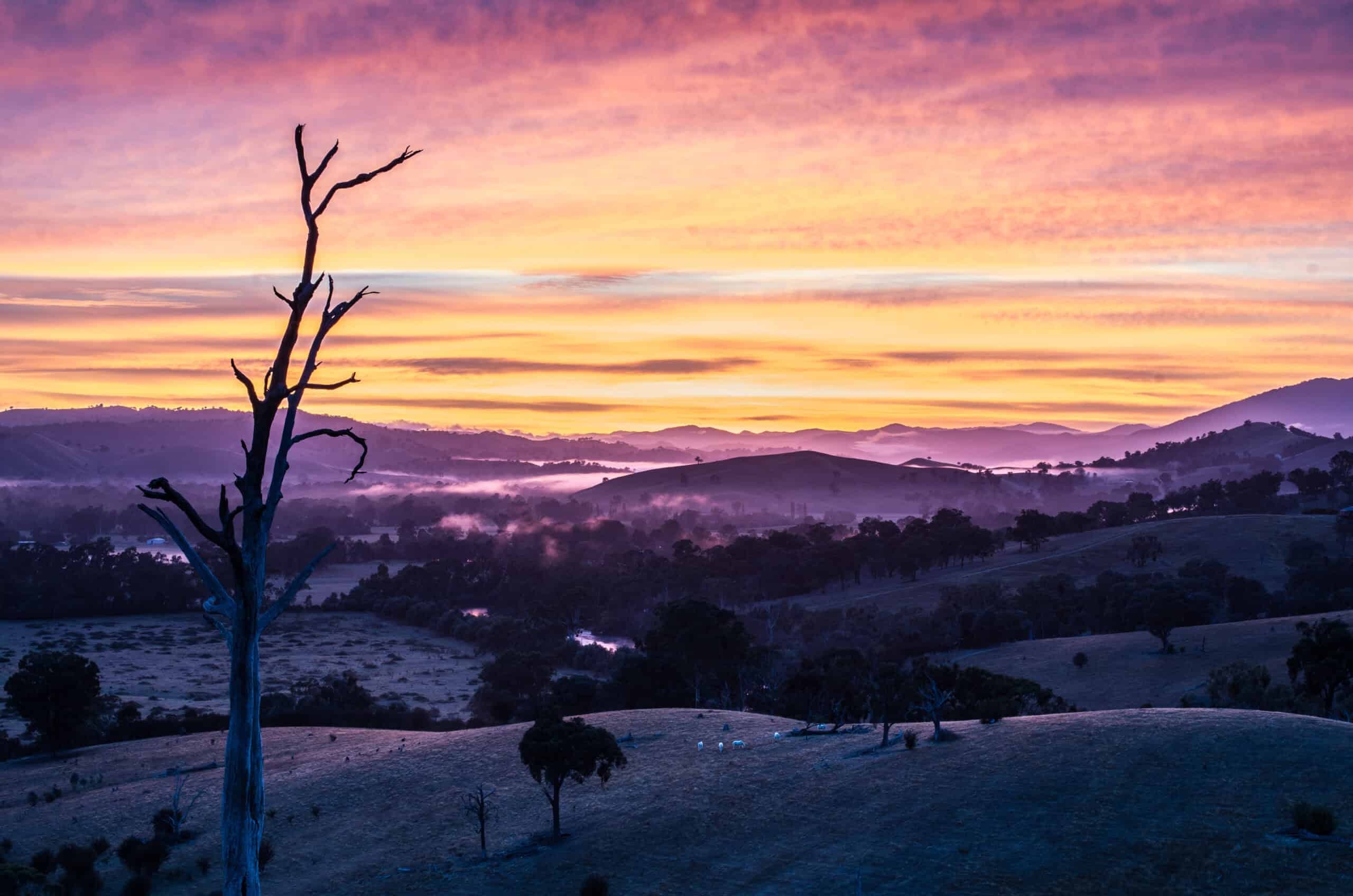 website design cooma bespoke website design tailored for Cooma small businesses