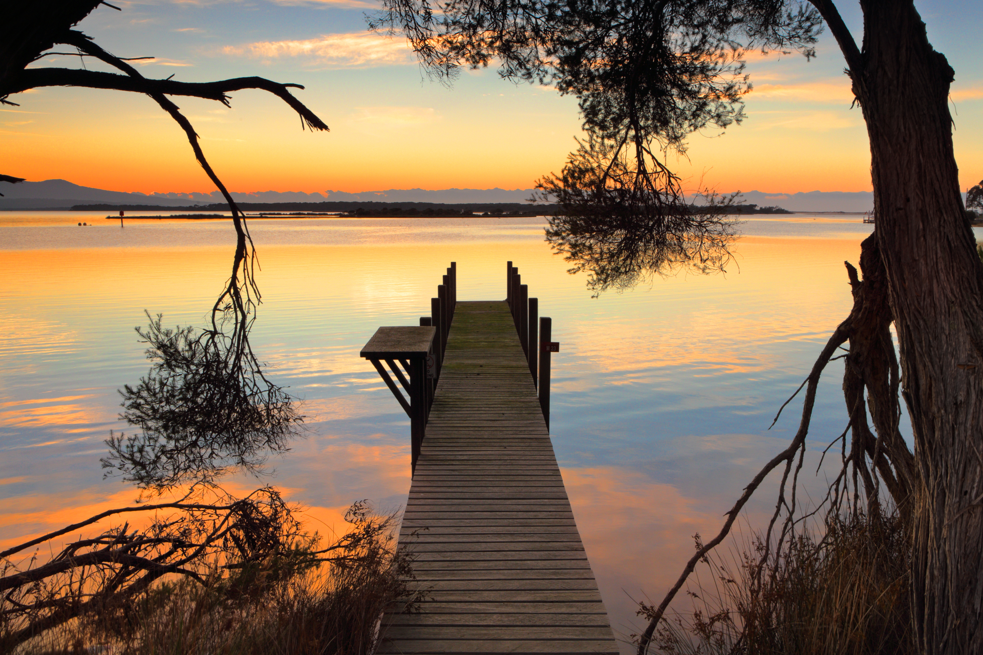 Web Design in Mallacoota Web Design in Mallacoota